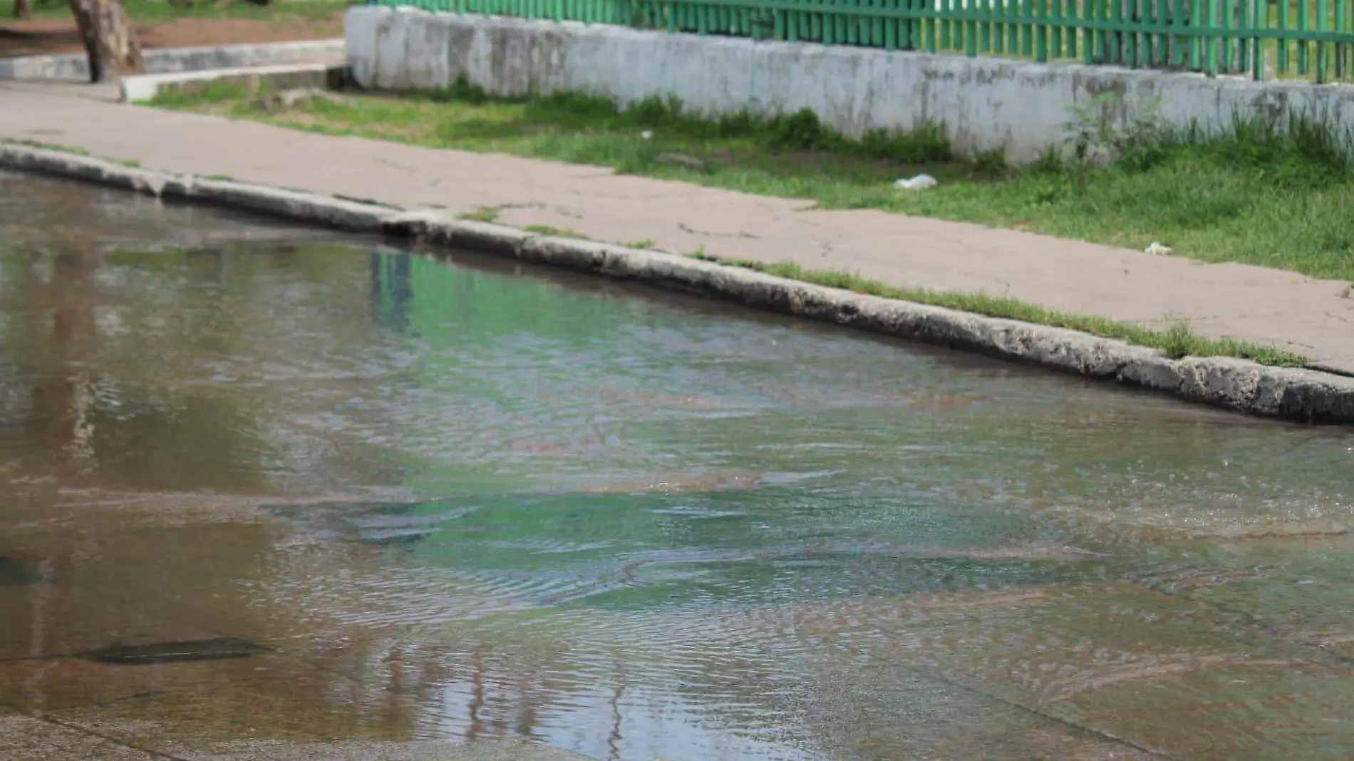 Aguas negras-Enfermedades-Lluvias